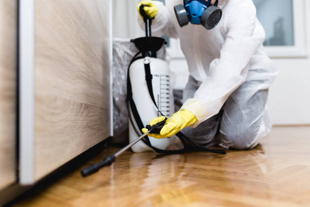 Best Exterminator Services  in Silver Lake, NJ