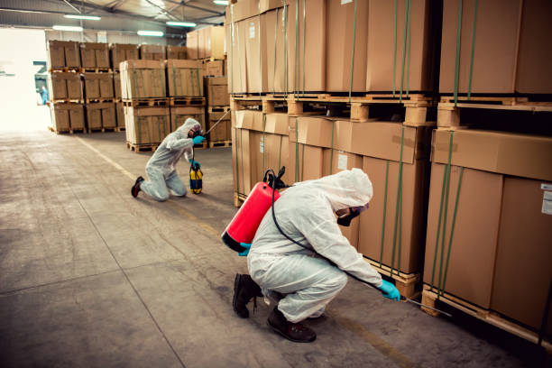 Best Termite Control Services  in Silver Lake, NJ