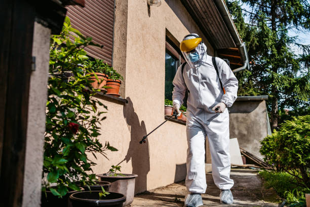 Best Mosquito Control Services  in Silver Lake, NJ