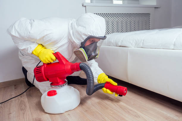 Best Affordable Pest Control Services  in Silver Lake, NJ