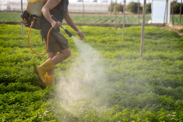 Best Best Pest Control Companies  in Silver Lake, NJ