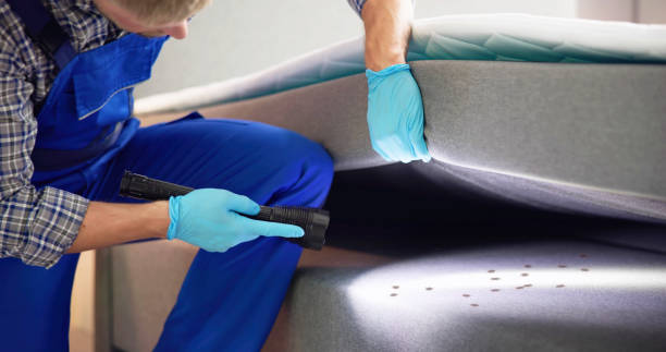 Best Mosquito Control Services  in Silver Lake, NJ