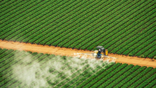 Best Commercial Pest Control Services  in Silver Lake, NJ