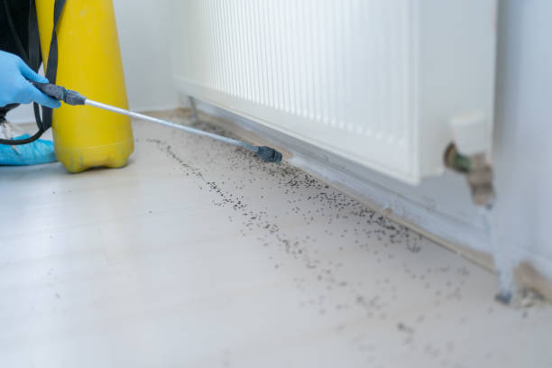  Silver Lake, NJ Pest Control Pros